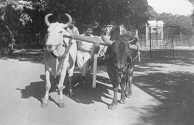  Glenn Garrelts' India 