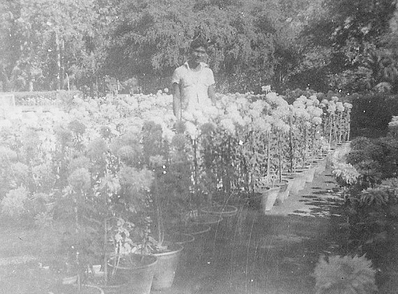  Glenn Garrelts' India 