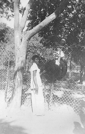  Glenn Garrelts' India 