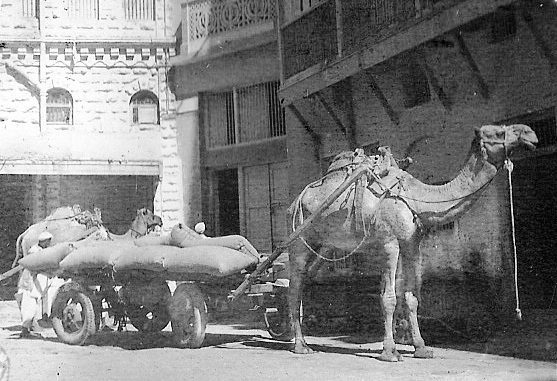  Glenn Garrelts' India 