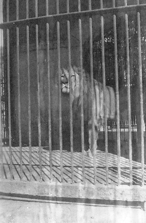  Glenn Garrelts' India 