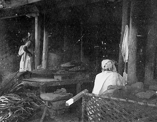  Glenn Garrelts' India 