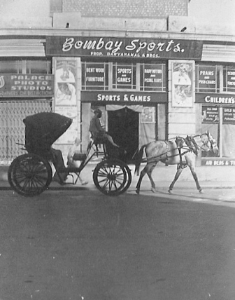  Glenn Garrelts' India 