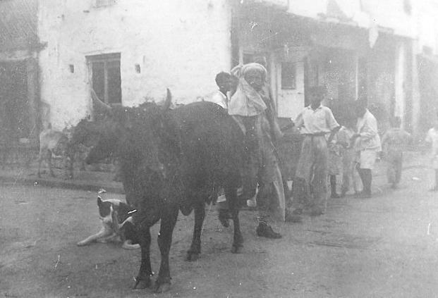  Glenn Garrelts' India 