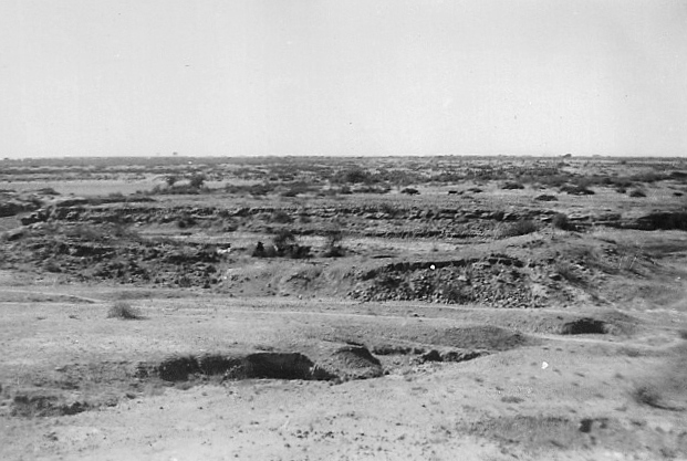  Glenn Garrelts' India 