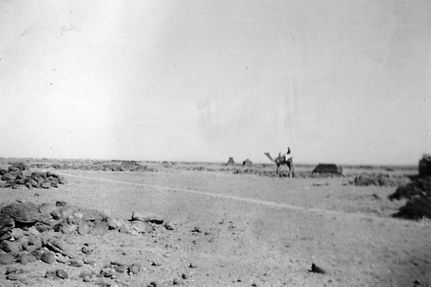  Glenn Garrelts' India 