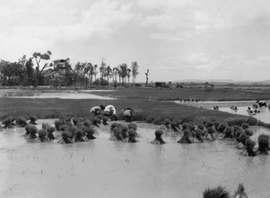  Walter Orey's China-Burma-India Photo Album 