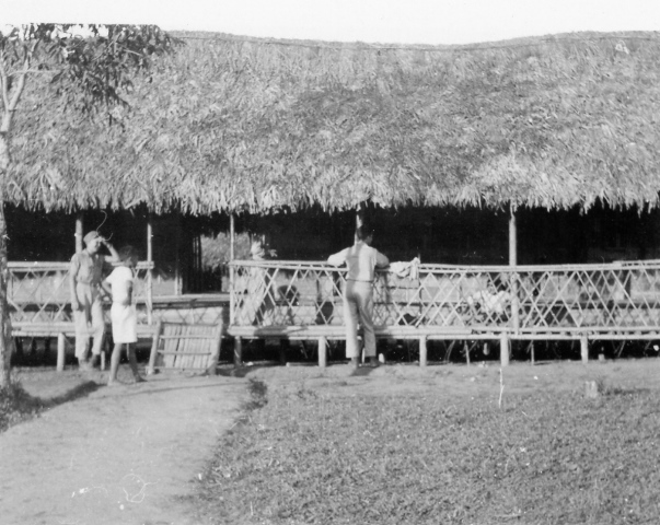  Robert Sterner Photos 