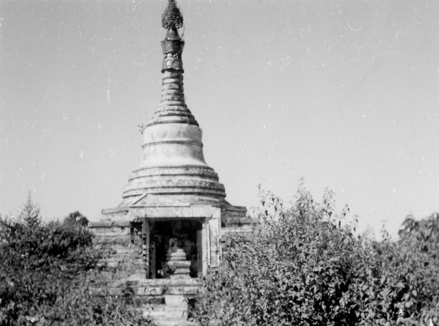  Robert Sterner Photos 