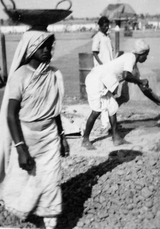  Robert Sterner Photos 