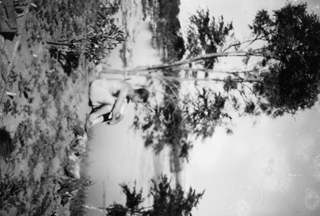  Robert Sterner Photos 