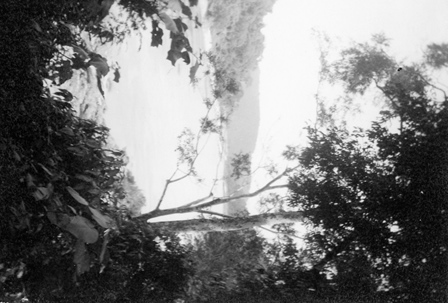  Robert Sterner Photos 