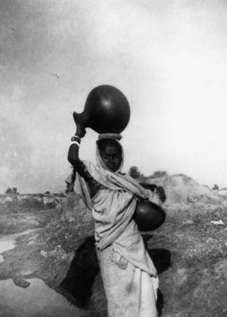  Robert Sterner Photos 