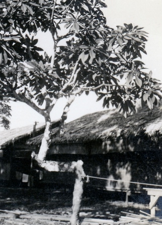  Robert Sterner Photos 