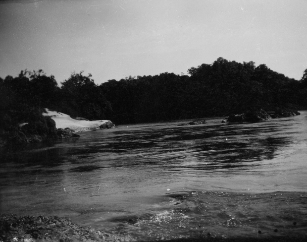  Robert Sterner Photos 