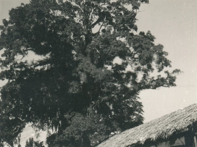  Robert Sterner Photos 