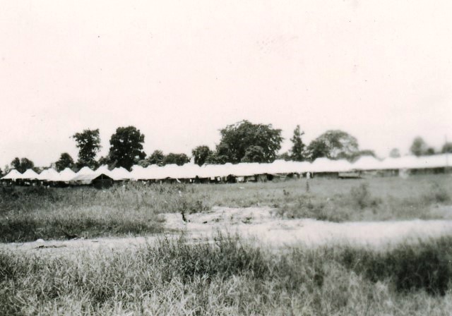  Robert Sterner Photos 