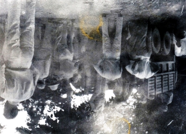  Robert Sterner Photos 