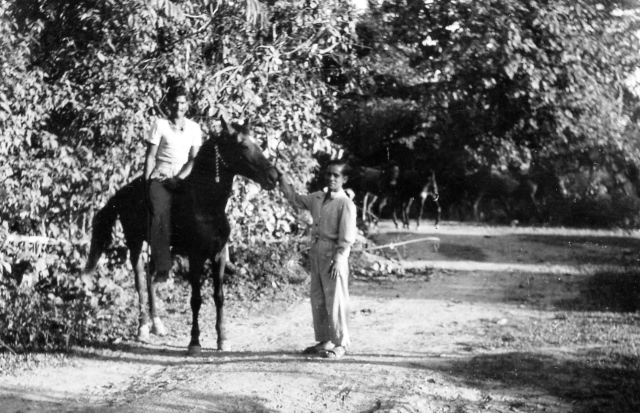  Robert Sterner Photos 