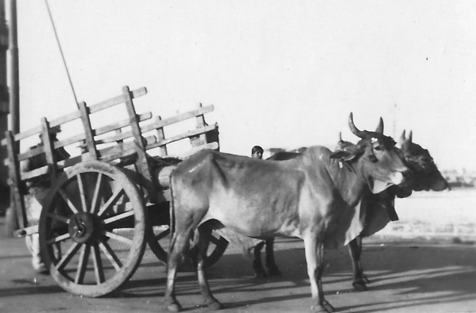  James H. Antell - CBI Theater 