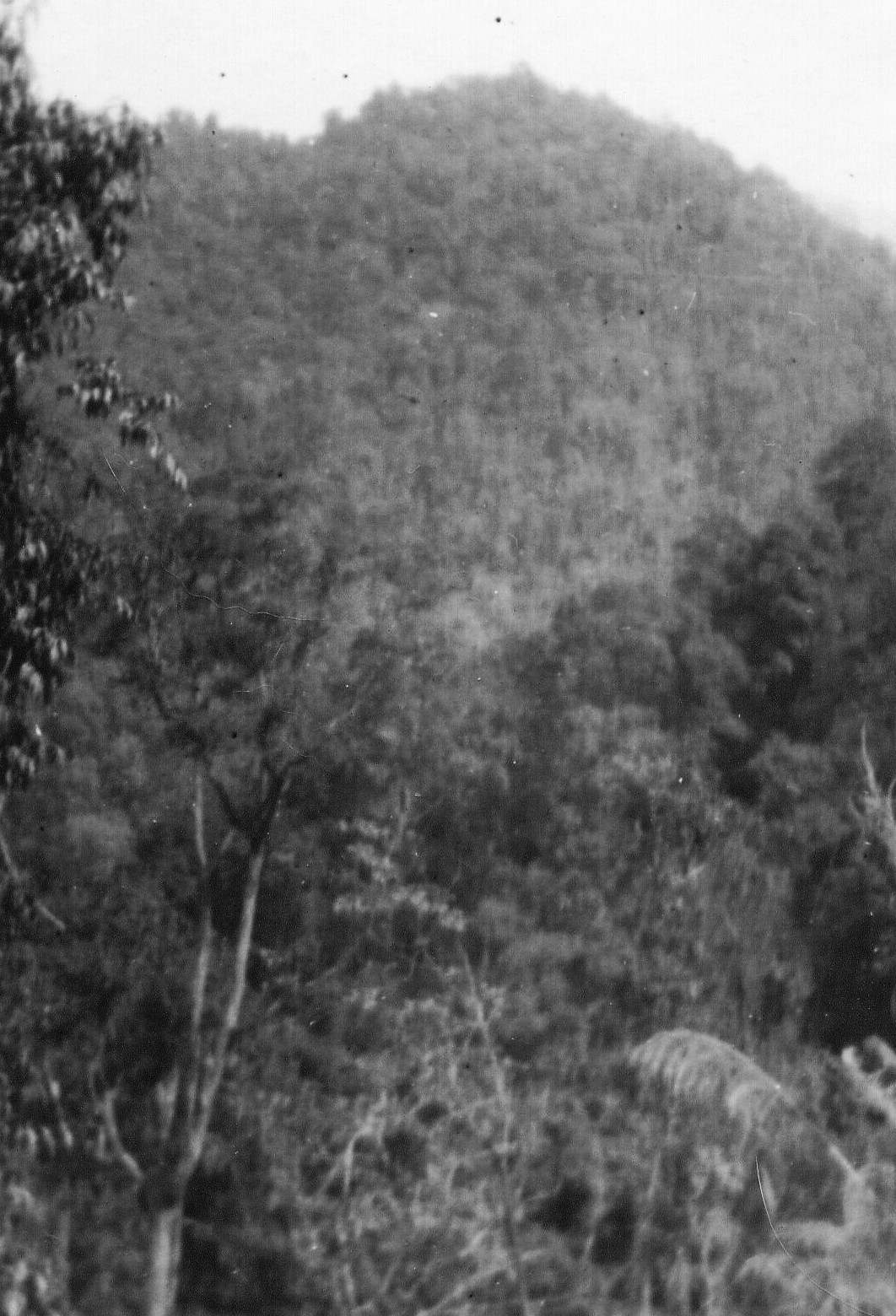  Earl Bowman CBI Photos 
