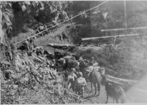  William Fuchs' CBI Photos 