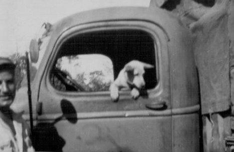  William Fuchs' CBI Photos 