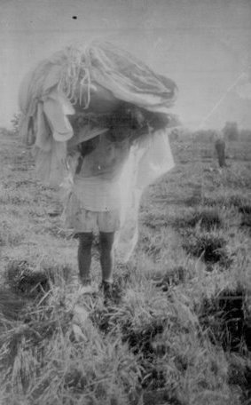  William Fuchs' CBI Photos 