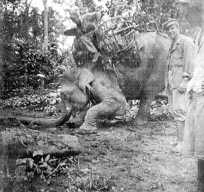  William Fuchs' CBI Photos 
