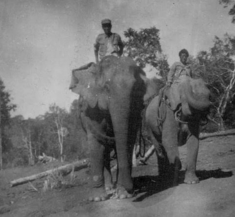  William Fuchs' CBI Photos 