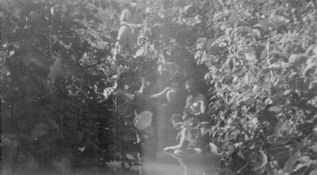  William Fuchs' CBI Photos 