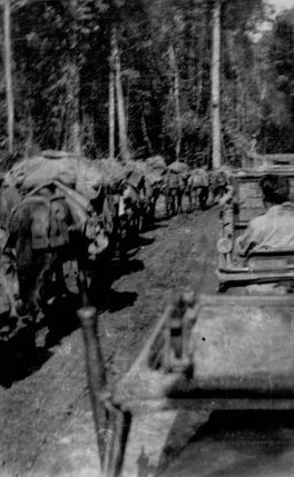  William Fuchs' CBI Photos 