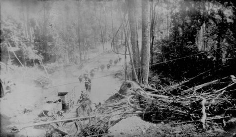  William Fuchs' CBI Photos 