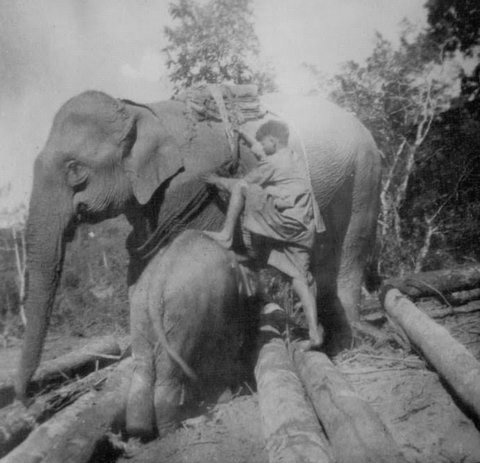  William Fuchs' CBI Photos 