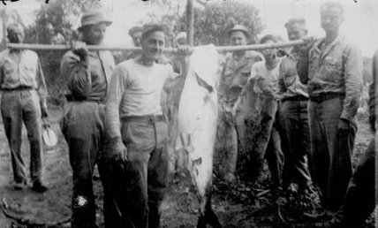  William Fuchs' CBI Photos 