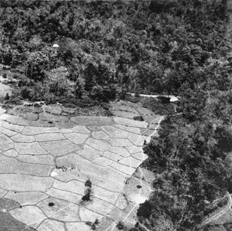  Airborne Raiders in Burma 