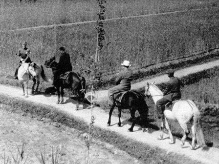  Through the wheat fields 