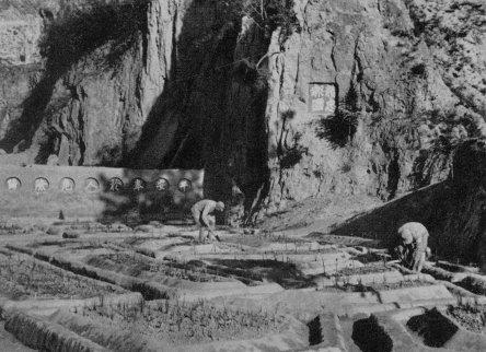  Soldiers build up the irrigation ditches 