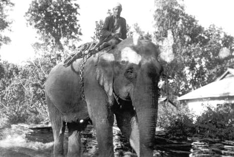  Philip Johnson - Images of India 