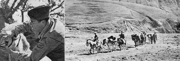  GI Horse Traders 